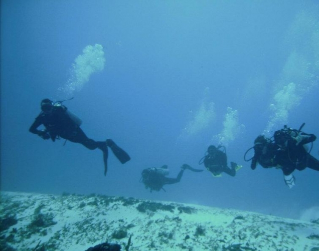  Excursão de mergulho em Playa del Carmen 